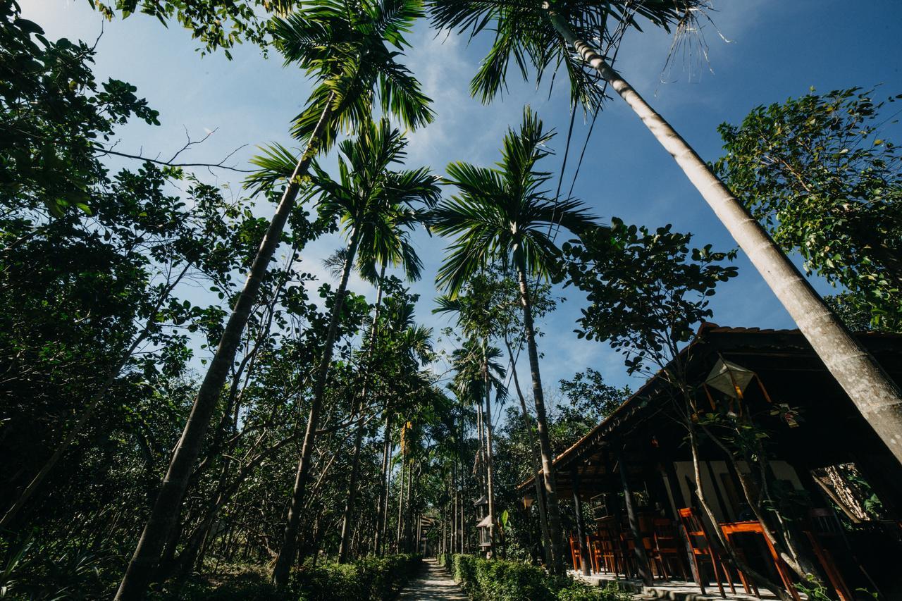 Thuy Bieu Homestay هوي الغرفة الصورة