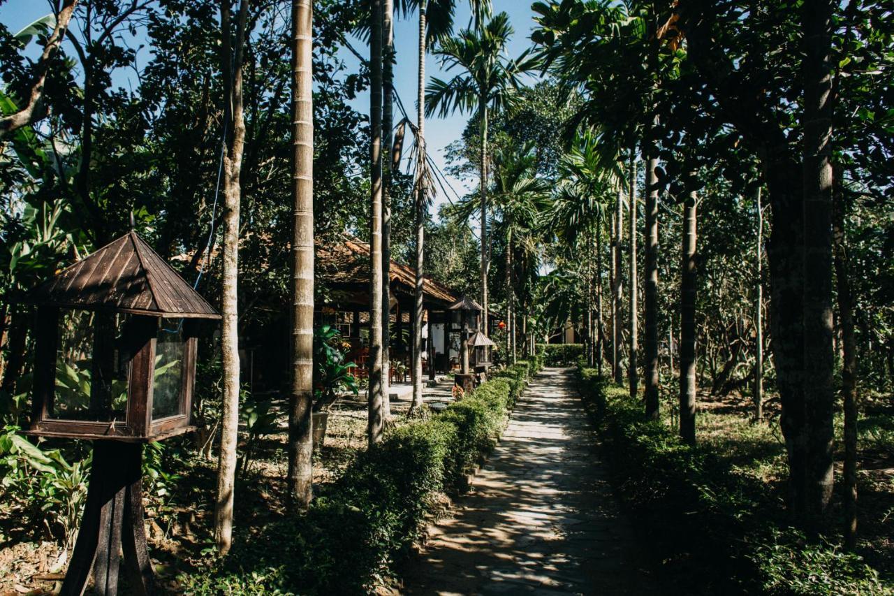 Thuy Bieu Homestay هوي المظهر الخارجي الصورة